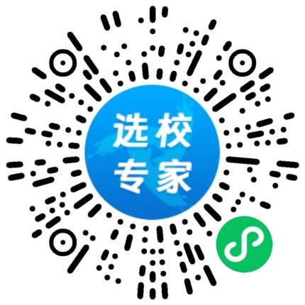 bibo体育网页官方网站入口说明