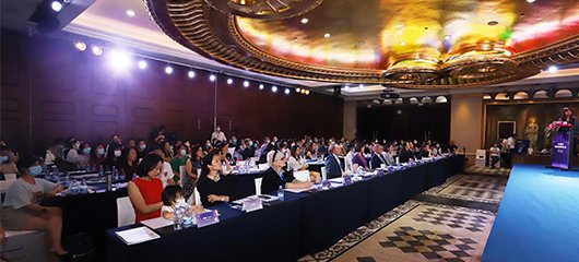 bibo体育网页官方网站